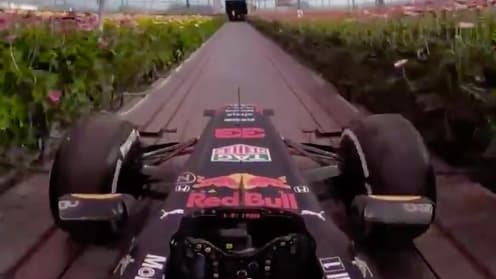 La Red Bull de Verstappen au milieu des fleurs