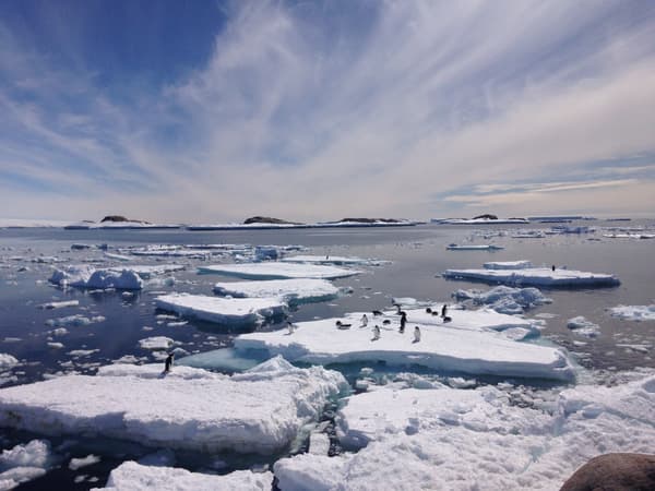 Des morceaux de banquise en Antarctique, en 2020 Des morceaux de banquise en Antarctique, en 2020