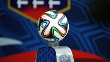 La Fédération française de football a été condamnée à verser plus de 50.000 euros à son ancien officier de liaison.