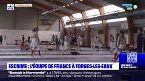 Seine-Maritime: l'équipe de France d'escrime s'entraîne à Forges-les-Eaux