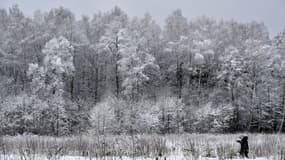 Une forêt à 70 km de Moscou, en février 2016 (photo d'illustration)
