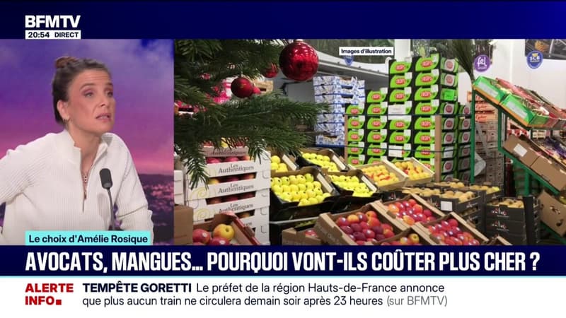 LE CHOIX D'AMÉLIE - Avocats, mangues... Le gouvernement suspend l'importation de fruits et légumes traités avec des pesticides interdits