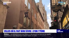 Lyon à la 77e place du classement des villes où il fait bon vivre