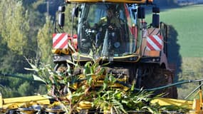 Un agriculteur français récolte du maïs à bord d'une désileuse, près de Belleme, le 4 octobre 2024, dans l'ouest de la France 