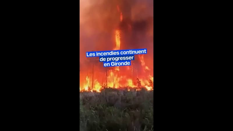 Les incendies en Gironde ont ravagé l'équivalent de plus de 20 000 terrains de football