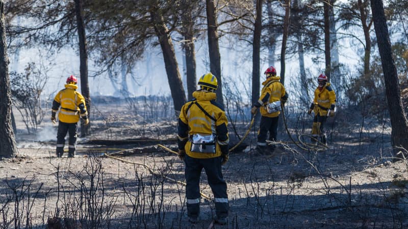 DIRECT. Incendies: le feu 