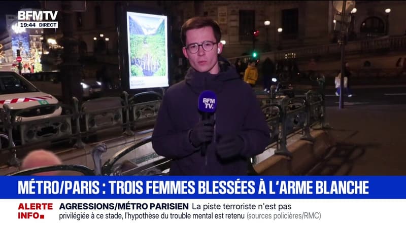 Une enquête ouverte après l'agression de trois femmes dans le métro, l'auteur souffrirait de "troubles mentaux"