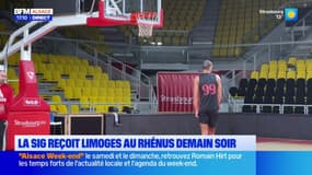 Basket: la SIG Strasbourg reçoit Limoges au Rhénus samedi
