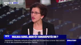 Story 3 : "Macron assassine la France", affirme Malika Sorel - 27/03