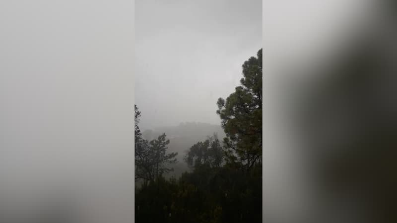 L'orage de grêle a touché des parcelles de vignes dans le Var.