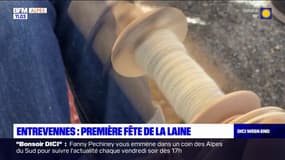 Entrevennes: première fête de la laine 