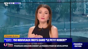  150 nouveaux mots entrent dans le Le Petit Robert, tels que "tiktokeur" ou encore "stalker"