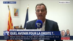 Louis Aliot (RN): "Les Républicains finiront comme force d'appoint d'Emmanuel Macron"