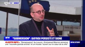 Propos polémiques de François Bayrou: "Il n'y a pas de submersion" réagit Ludovic Mendes, député apparenté "Ensemble pour la République"