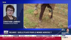 Relance : quelle place pour le monde agricole ? - 05/06