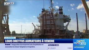 Louis Dreyfus Armateurs en vente?