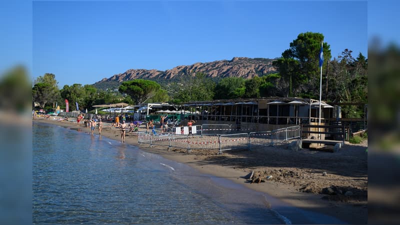 Un périmètre de sécurité a été établi autour du site de ponte d'une tortue sur la plage de la Baumette de Saint-Raphaël (Var), le dimanche 11 août 2024.