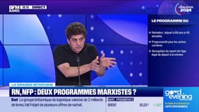 Législatives: Pour Michaël Zemmour, "il y a une différence entre les programmes économiques" du RN et du NFP