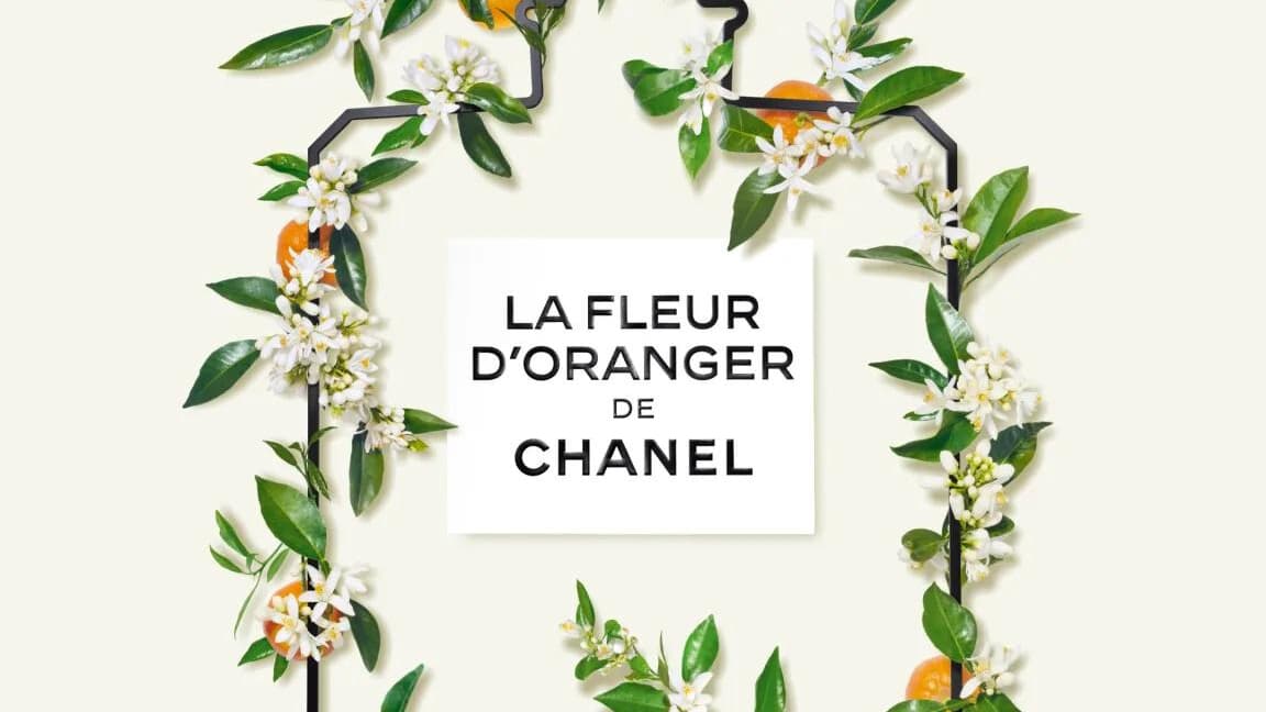 La fleur d'oranger de Chanel 