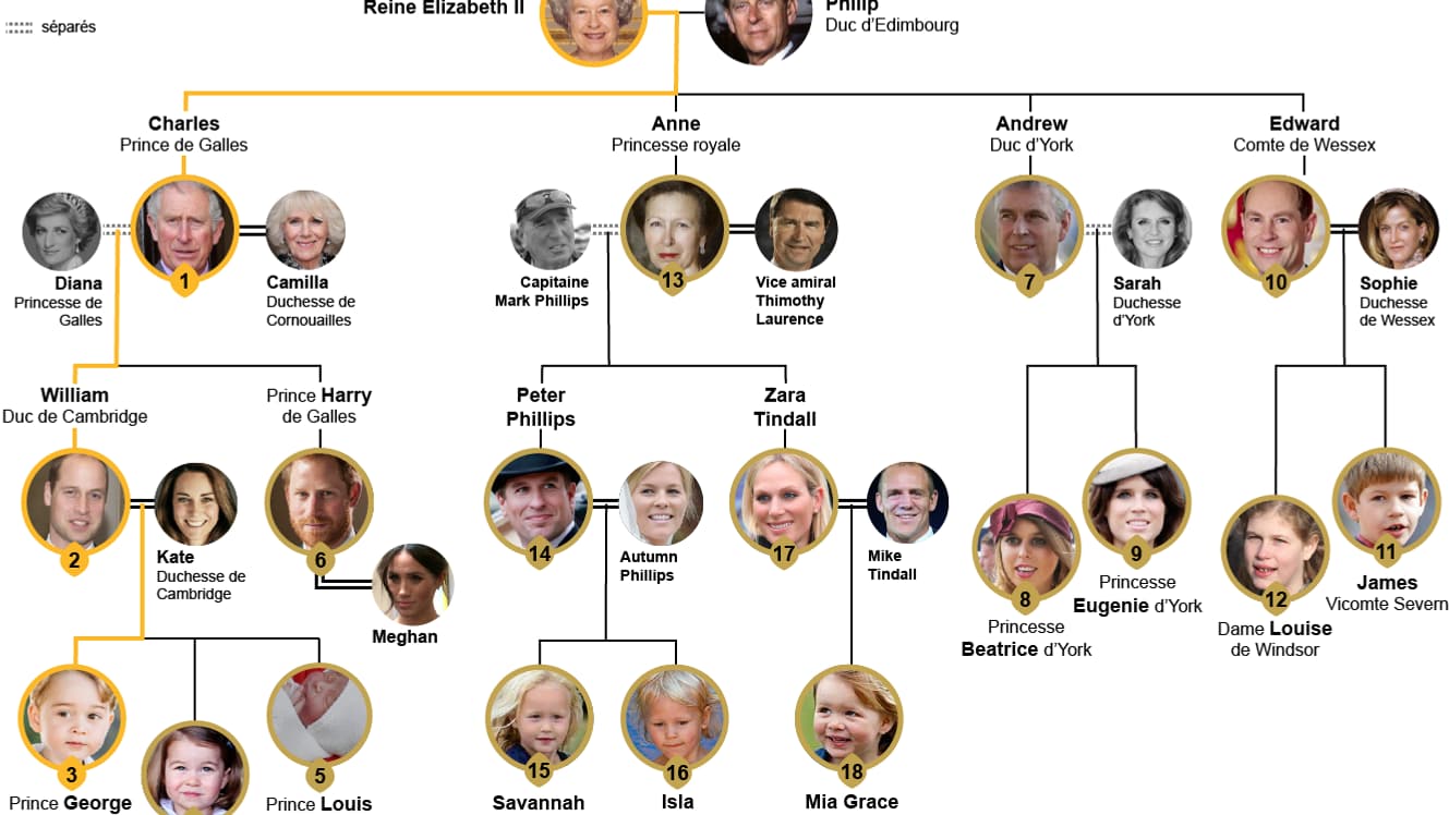 infog arbre royal infog arbre royal