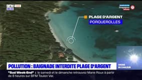 Porquerolles: baignade interdite provisoirement sur la plage d'Argent