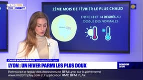 Lyon: un hiver particulièrement doux