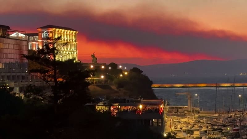 DIRECT. Feux de forêt: les pompiers continuent de lutter contre deux incendies près de Marseille après une "nuit difficile de combat"