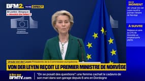 Droits de douane: l'UE a proposé aux Etats-Unis une exemption totale pour les biens industriels