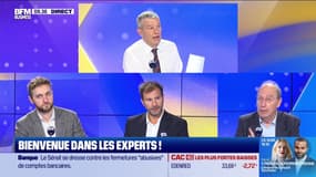 Les Experts : L'austérité, seule solution face à la dette ? - 10/10