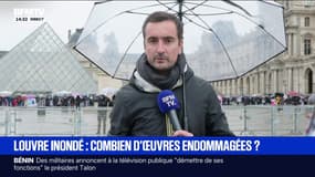 Inondation au Louvre: ce que l'on sait sur les dégâts causés au sein de la bibliothèque des Antiquités égyptiennes