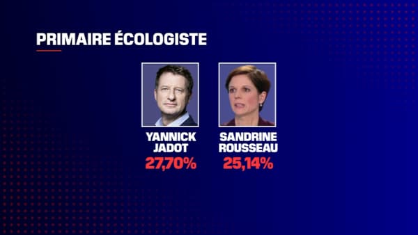 Les deux candidats arrivés en tête du premier tour de la primaire écologiste Les deux candidats arrivés en tête du premier tour de la primaire écologiste