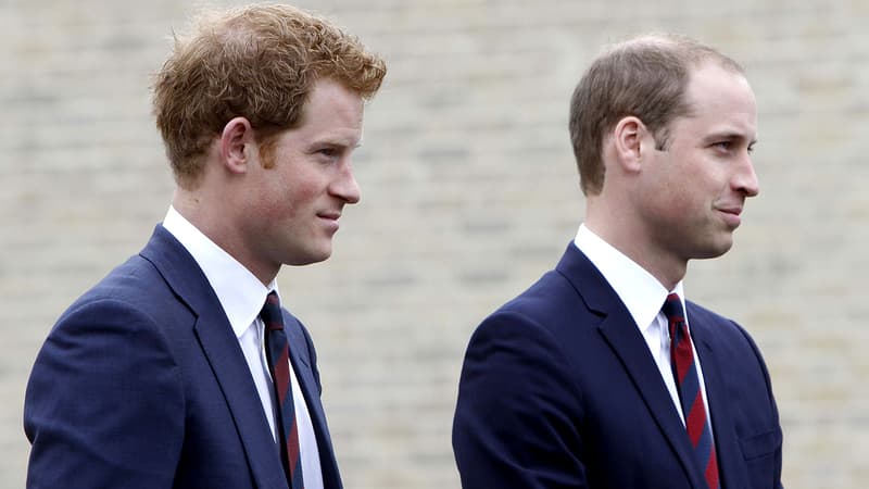 Le prince Harry et le prince William le 20 mai 2013