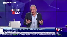 Livepollen, une application pour connaître la quantité de pollen dans l'air - 29/03