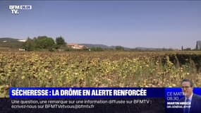 De fortes restrictions d'eau dans la Drôme en raison de la sécheresse