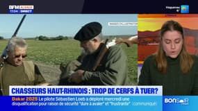 Haut-Rhin: les chasseurs veulent tuer moins de cerfs