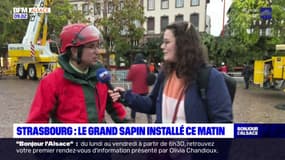 Strasbourg: les différentes phases d'installation du grand sapin