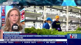 What's up New York : La start-up new-yorkaise Bowery Farming, ferme verticale urbaine, vient de lever 300 millions de dollars - 25/05