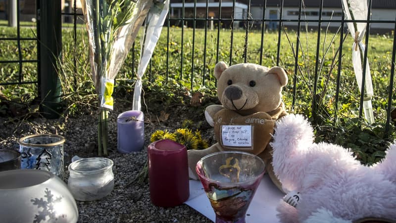 Plusieurs hommages ont été rendus au petit Mathias, 9 ans, mort d'une allergie jeudi après un repas à la cantine, dans une école de Jujurieux.
