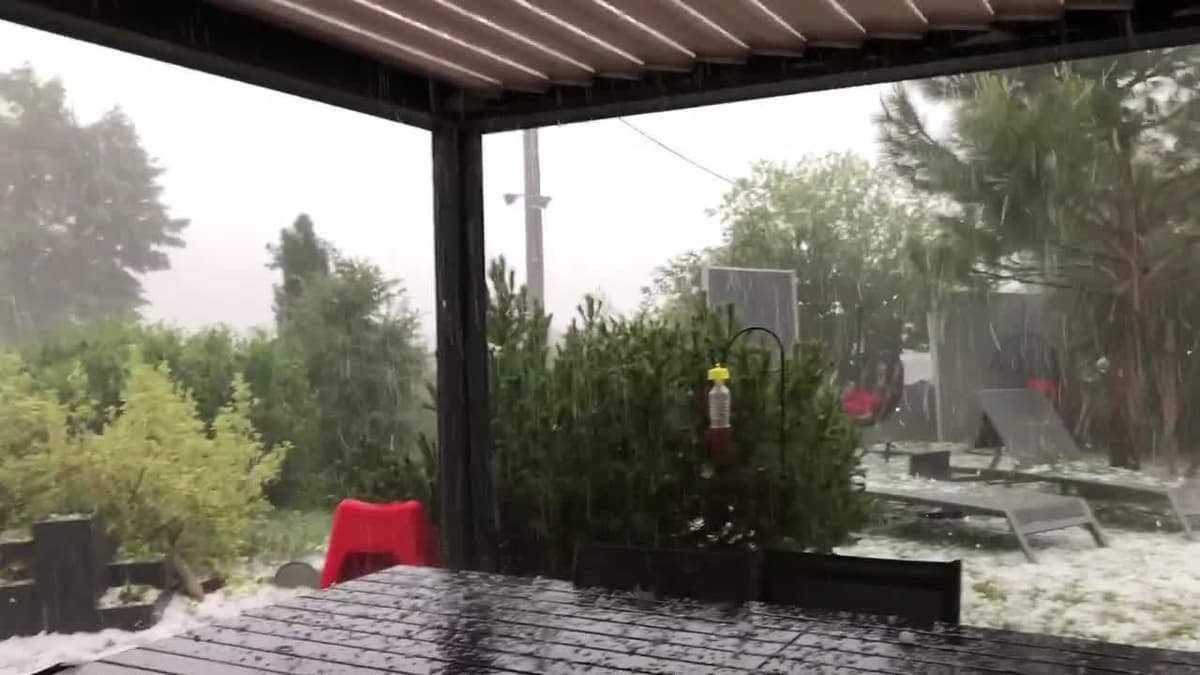 placeholder video