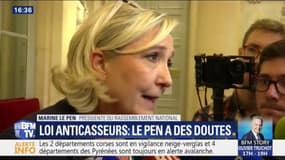 Marine Le Pen sur la loi anti-casseurs: "À chaque fois, on vote des textes supplémentaires mais qui ne sont jamais appliqués"