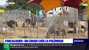 Forcalquier: un cirque créé la polémique