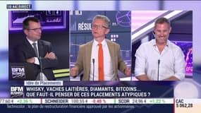 Idées de placements: Whisky, vaches laitières, diamants, bitcoins... Que faut-il penser de ces placements atypiques ? - 20/07