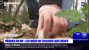 Île-de-France: pour Pâques, des idées de chasses aux oeufs