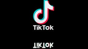 Présidentielle américaine: sur TikTok aussi, les fausses informations pullulent 