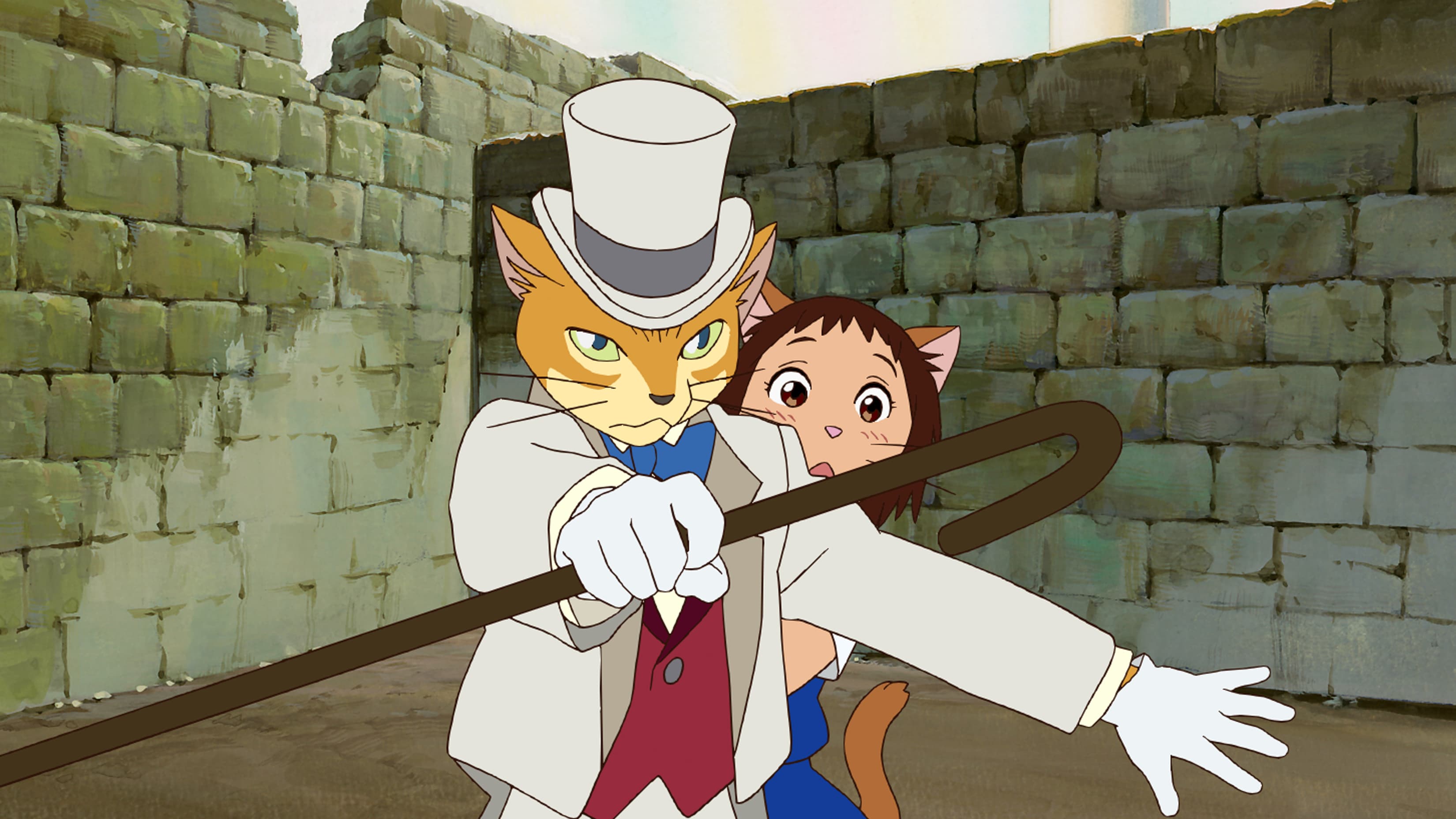 Le Royaume des chats Le Royaume des chats