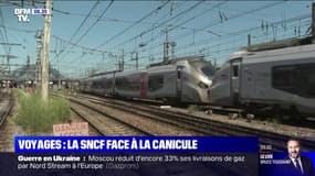 500.000 bouteilles d'eau, déformation des voies, affaissement des câbles... Comment la SNCF s'organise face à la canicule?