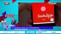 C’est quoi le progrès ? : Un médecin dans nos smartphones - 06/06