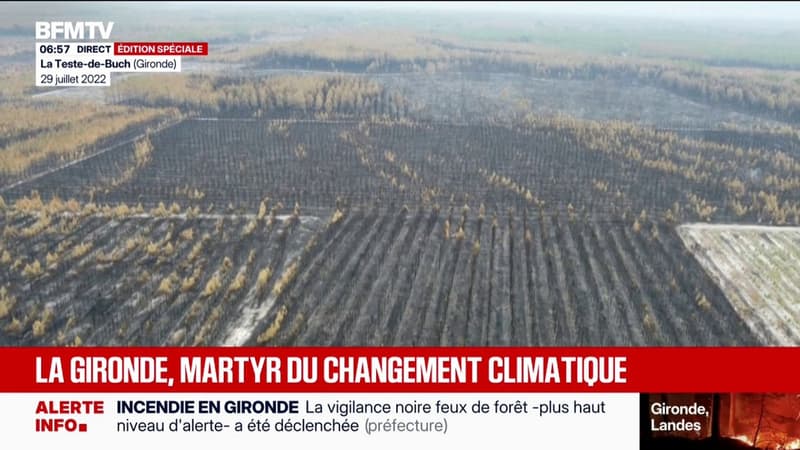 Incendies, inondations... La Gironde subit de plein fouet les catastrophes naturelles et les effets du changement climatique