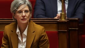 La députée écologiste Sandrine Rousseau à l'Assemblée nationale le 11 février 2025