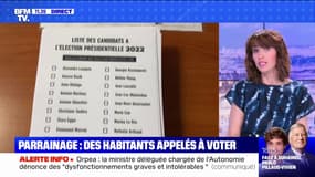 Est-ce le maire qui choisit seul le candidat qu'il parraine ? BFMTV répond à vos questions